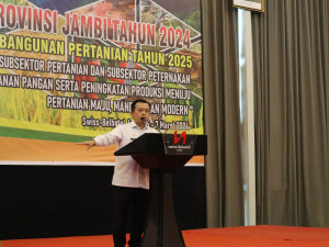 Pemprov Jambi Pertajam Visi Misi Pembangunan Pertahanan Pangan, PETAJAMBI.COM