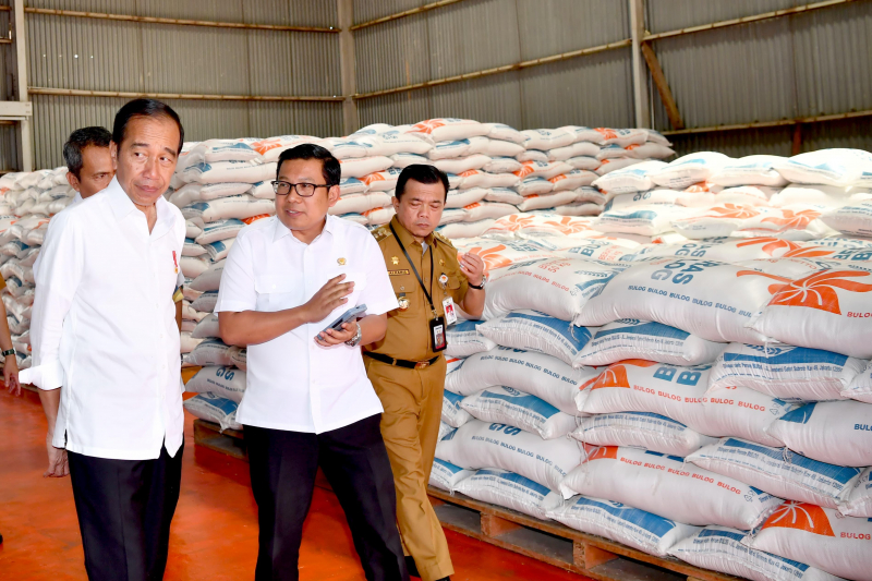 Kunjungi Gudang Bulog Pematang Kandis, Presiden Tinjau Stok Beras dan Serahkan Bantuan Pangan, PETAJAMBI.COM
