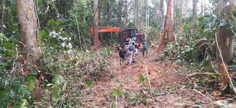 Pengembangan Kasus Pembalakan Liar di TN Bukit Tigapuluh, Gakkum KLHK Tangkap Pemilik Mobil dan Kayu, PETAJAMBI.COM