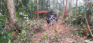 Pengembangan Kasus Pembalakan Liar di TN Bukit Tigapuluh, Gakkum KLHK Tangkap Pemilik Mobil dan Kayu, PETAJAMBI.COM