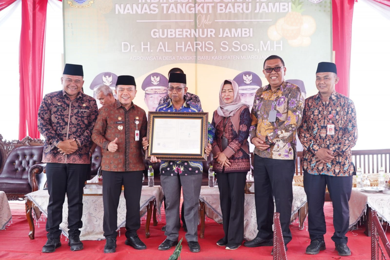 Nanas Tangkit Kini Kantongi Sertifikat Indikasi Geografis, PETAJAMBI.COM