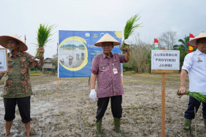 Wagub: Sekolah Lapang Iklim Operasional Bantu Petani Tingkatkan Produksi, PETAJAMBI.COM