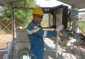 SKK Migas Tetapkan Standarisasi Pengukuran CO2 Pada Program CCS/CCUS, PETAJAMBI.COM