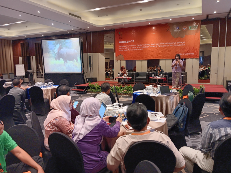 IPB dan BPDPKS Sosialisasikan Manfaat Tandan Kosong Sawit Sebagai Soil Conditioner, PETAJAMBI.COM